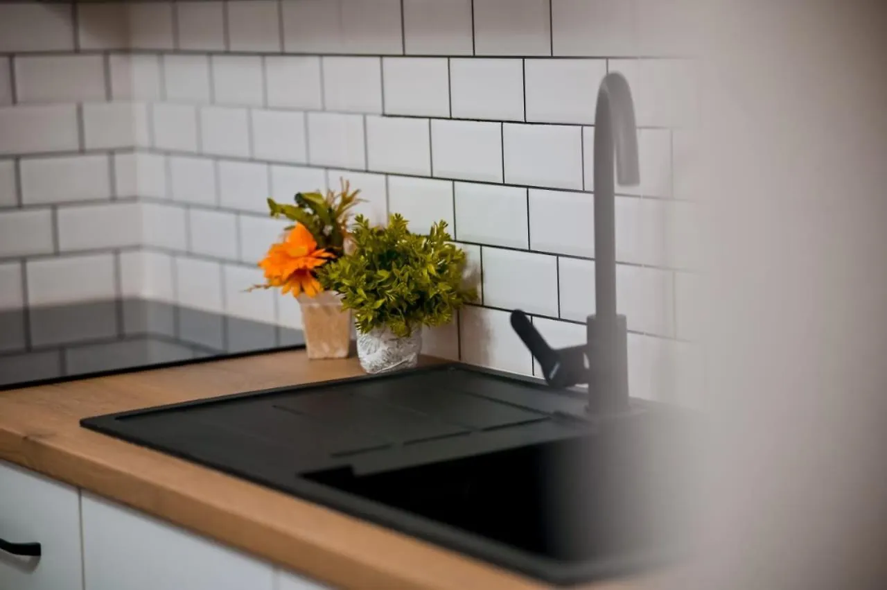 Egje Apartment Гирокастра